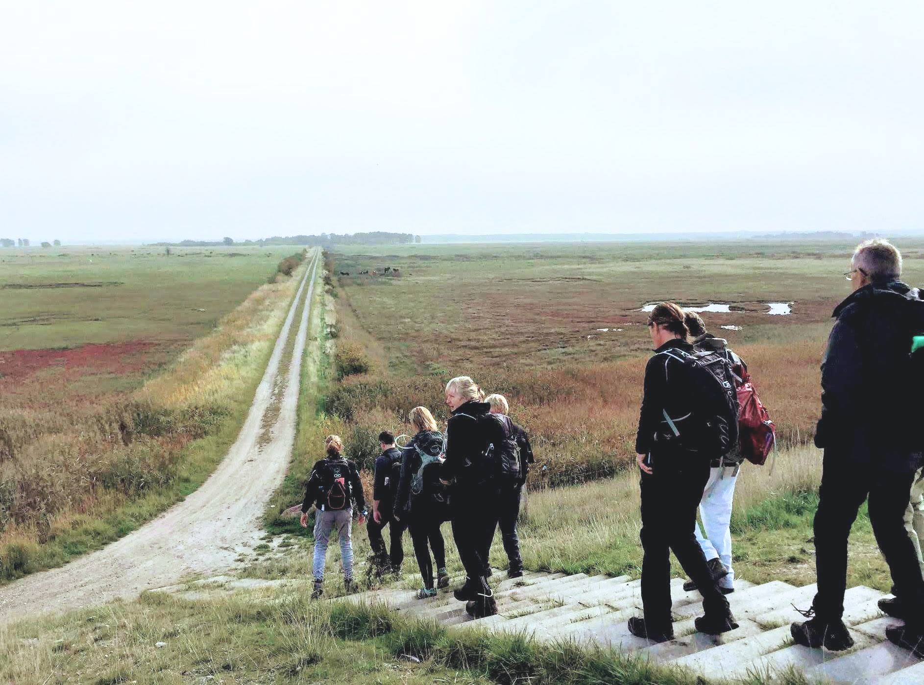 hike_amager-1